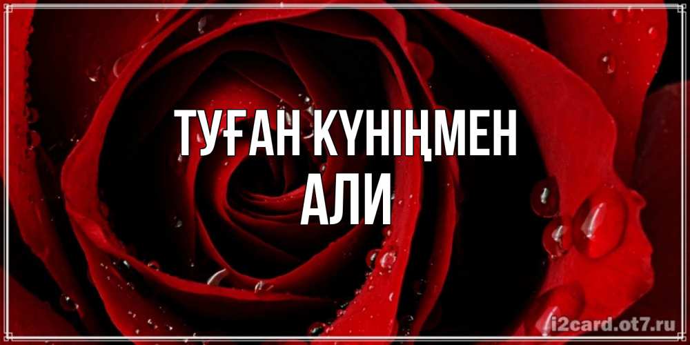 Открытка на каждый день с именем, Али Туған күніңмен крупная бордовая роза Прикольная открытка с пожеланием онлайн скачать бесплатно 
