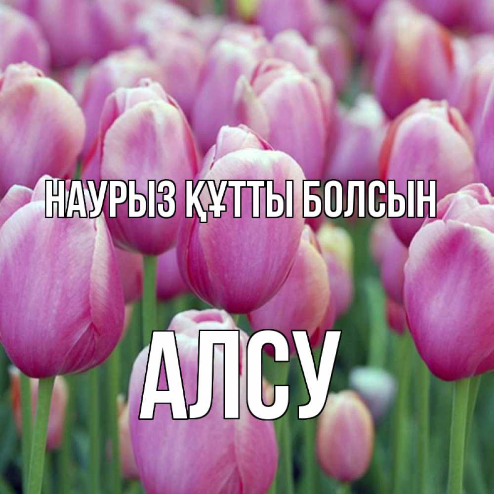 Открытка на каждый день с именем, Алсу Наурыз құтты болсын на наурыз  день 3 Прикольная открытка с пожеланием онлайн скачать бесплатно 