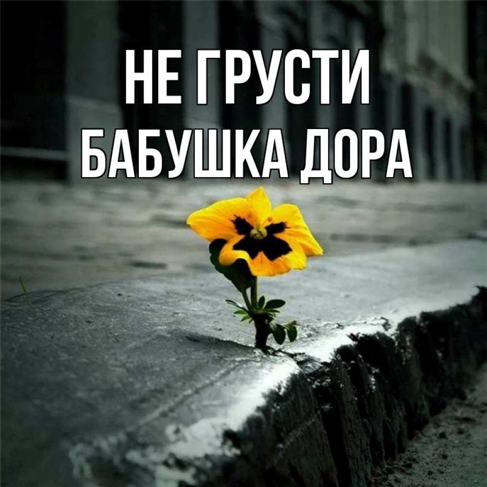 Открытка на каждый день с именем, Бабушка-Дора Не грусти не сдавайся Прикольная открытка с пожеланием онлайн скачать бесплатно 