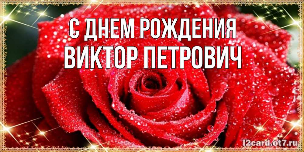 Открытка на каждый день с именем, Виктор-Петрович С днем рождения роса и роза. открытка с красивой розой Прикольная открытка с пожеланием онлайн скачать бесплатно 