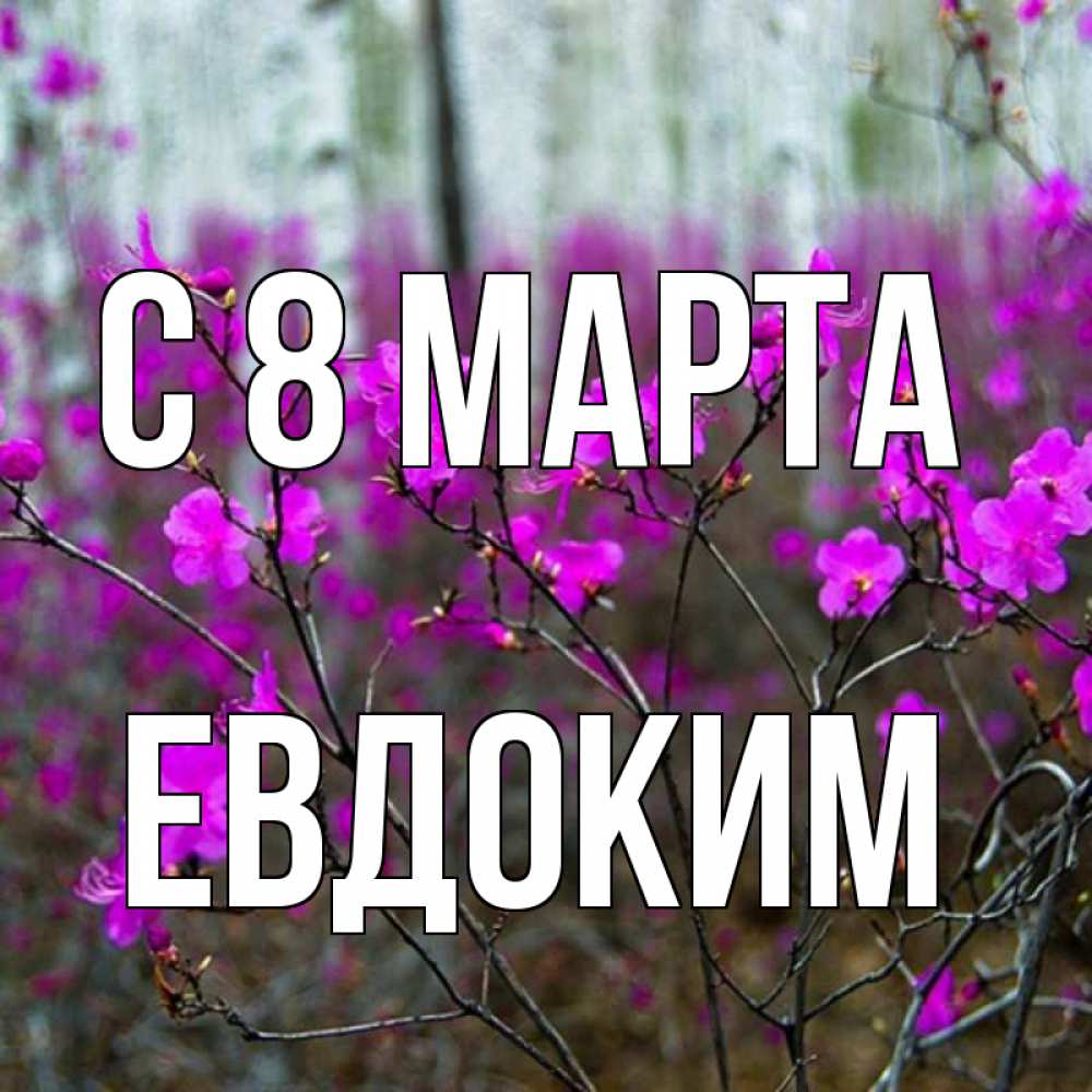 Открытка на каждый день с именем, Евдоким С 8 марта дикие цветы Прикольная открытка с пожеланием онлайн скачать бесплатно 