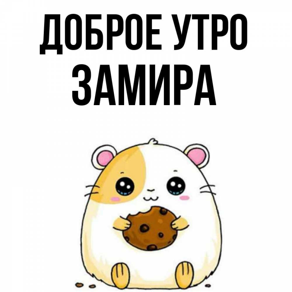 Открытка на каждый день с именем, Замира Доброе утро есть печеньку. Утречко Прикольная открытка с пожеланием онлайн скачать бесплатно 