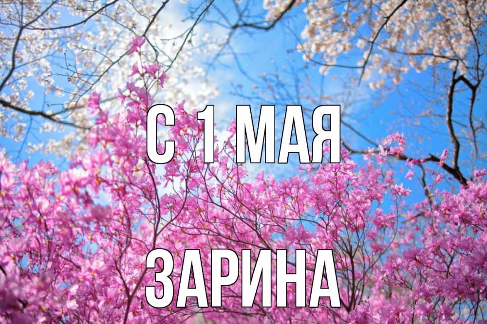 Открытка на каждый день с именем, Зарина С 1 мая С 1 мая Прикольная открытка с пожеланием онлайн скачать бесплатно 