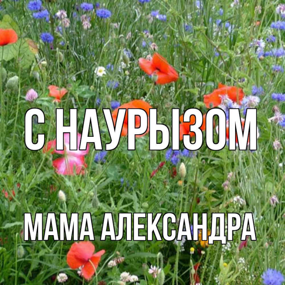 Открытка на каждый день с именем, Мама-Александра С наурызом праздник весны наурыз супер открытка Прикольная открытка с пожеланием онлайн скачать бесплатно 