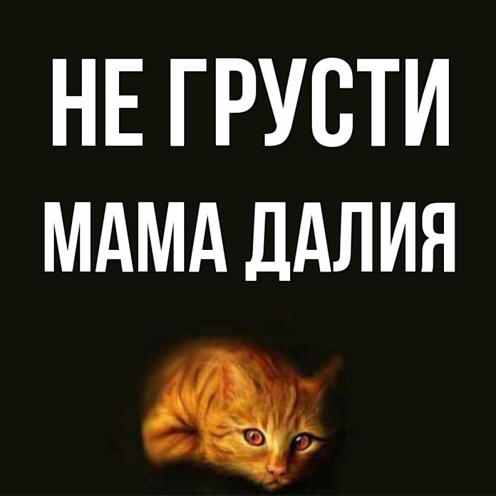 Открытка на каждый день с именем, Мама-Далия Не грусти лежащий кот в темноте Прикольная открытка с пожеланием онлайн скачать бесплатно 