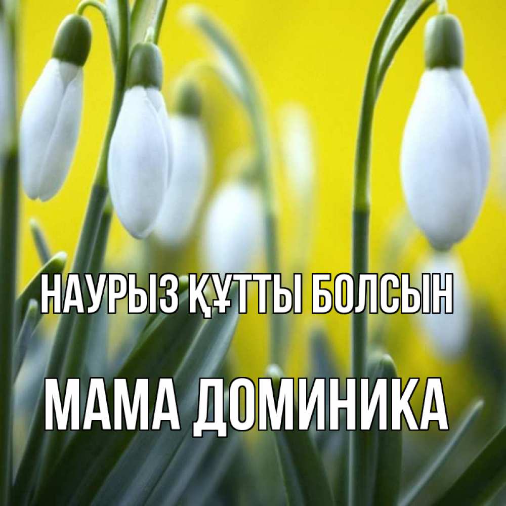 Открытка на каждый день с именем, Мама-Доминика Наурыз құтты болсын весенние цветы Прикольная открытка с пожеланием онлайн скачать бесплатно 
