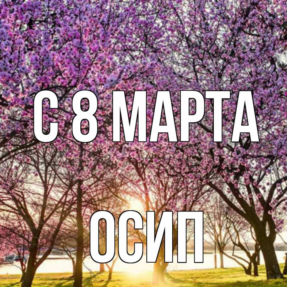 Открытка на каждый день с именем, Осип С 8 МАРТА международный женский день Прикольная открытка с пожеланием онлайн скачать бесплатно 