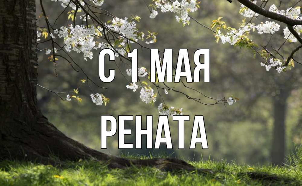 Открытка на каждый день с именем, Рената С 1 мая С 1 мая Прикольная открытка с пожеланием онлайн скачать бесплатно 