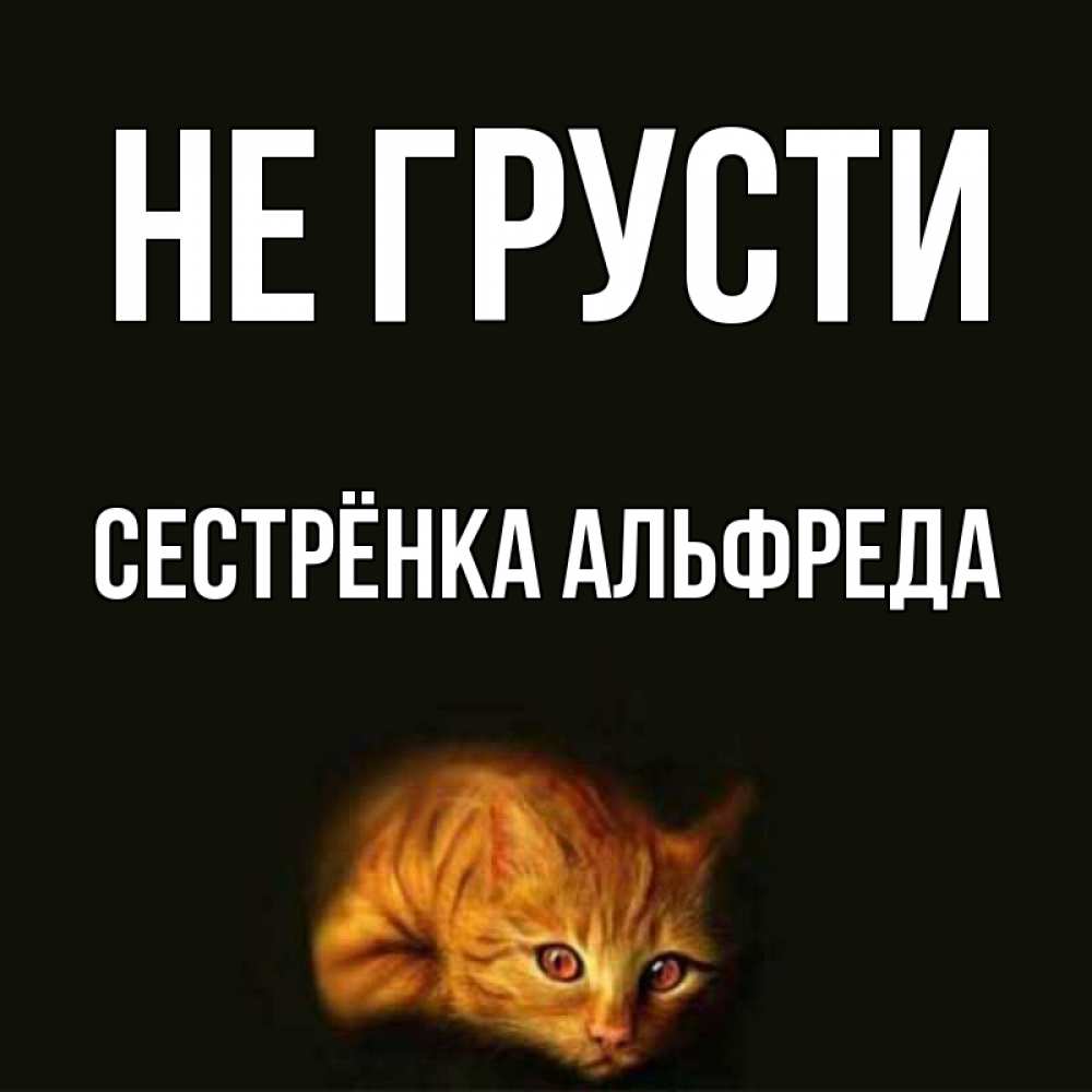 Открытка на каждый день с именем, Сестрёнка-Альфреда Не грусти лежащий кот в темноте Прикольная открытка с пожеланием онлайн скачать бесплатно 