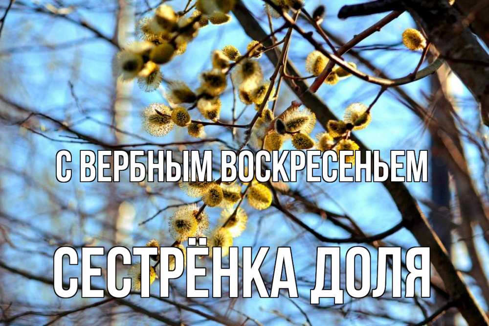 Открытка на каждый день с именем, Сестрёнка-Доля С вербным воскресеньем верба Прикольная открытка с пожеланием онлайн скачать бесплатно 