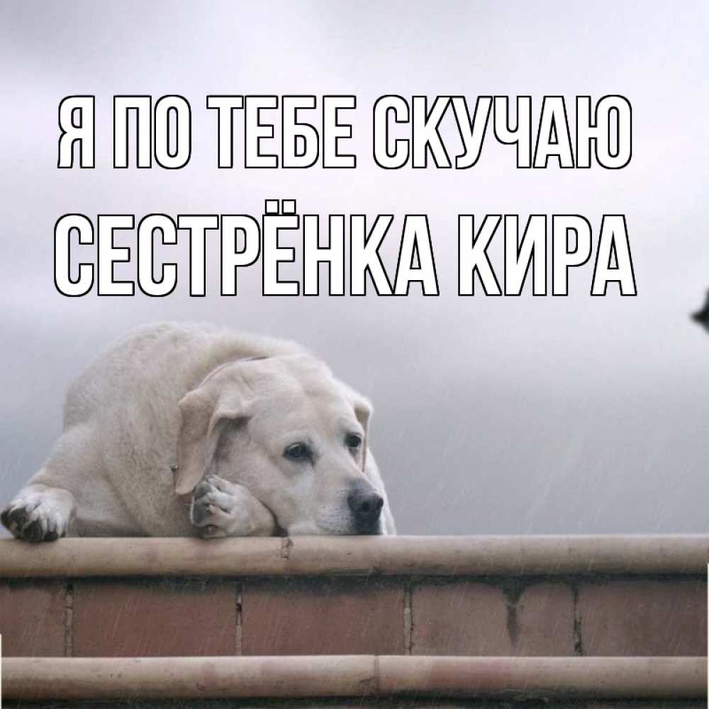 Открытка на каждый день с именем, Сестрёнка-Кира Я по тебе скучаю ждет Прикольная открытка с пожеланием онлайн скачать бесплатно 