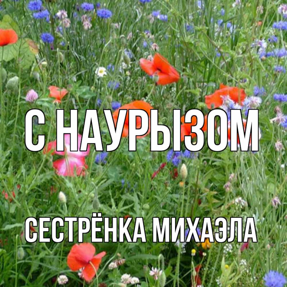 Открытка на каждый день с именем, Сестрёнка-Михаэла С наурызом праздник весны наурыз супер открытка Прикольная открытка с пожеланием онлайн скачать бесплатно 