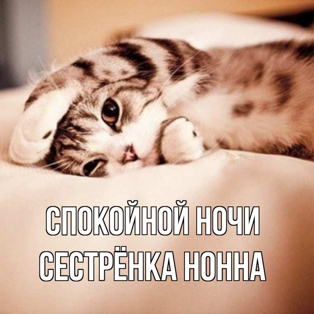 Открытка на каждый день с именем, Сестрёнка-Нонна Спокойной ночи сладких снов с животными Прикольная открытка с пожеланием онлайн скачать бесплатно 