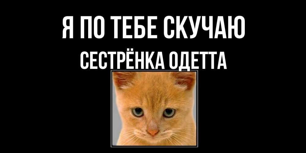 Открытка на каждый день с именем, Сестрёнка-Одетта Я по тебе скучаю открытки рыжий котенок скучает по тебе Прикольная открытка с пожеланием онлайн скачать бесплатно 