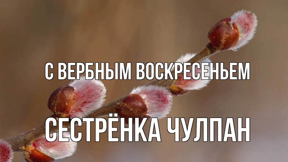 Открытка на каждый день с именем, Сестрёнка-Чулпан С вербным воскресеньем верба Прикольная открытка с пожеланием онлайн скачать бесплатно 