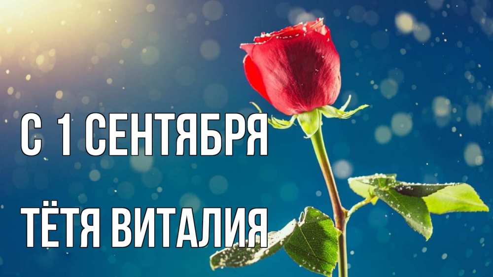 Открытка на каждый день с именем, Тётя-Виталия С 1 сентября с днем знаний Прикольная открытка с пожеланием онлайн скачать бесплатно 