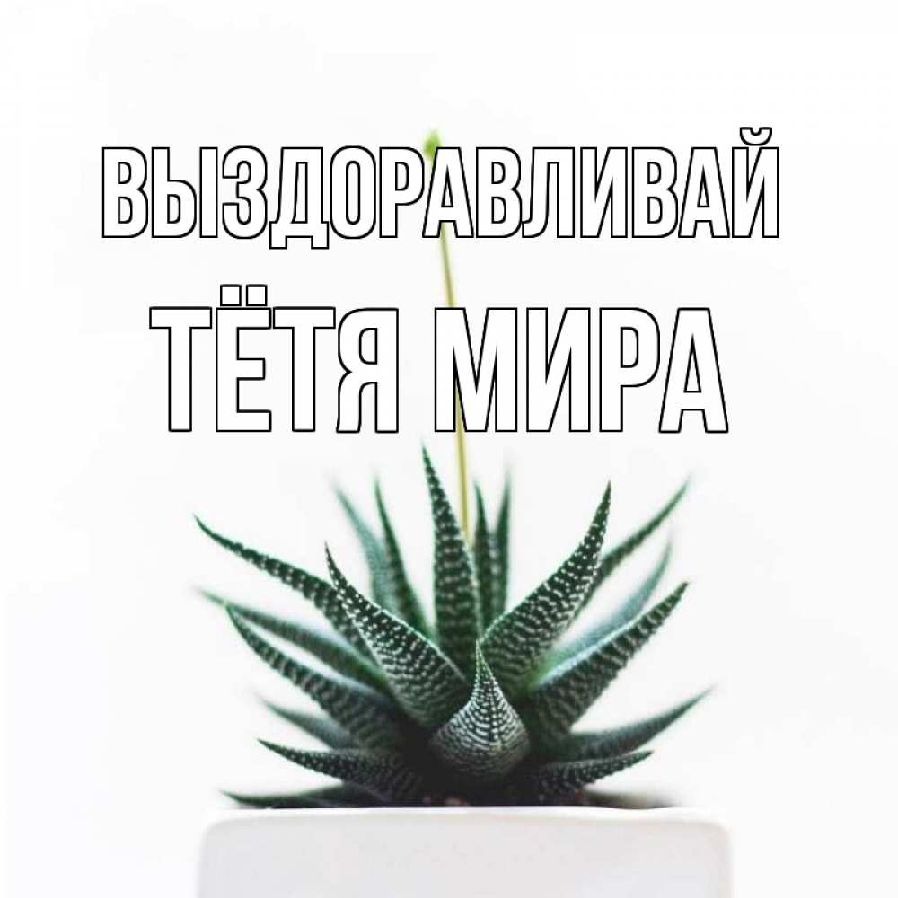 Открытка на каждый день с именем, Тётя-Мира Выздоравливай короче это непонятная колючка Прикольная открытка с пожеланием онлайн скачать бесплатно 
