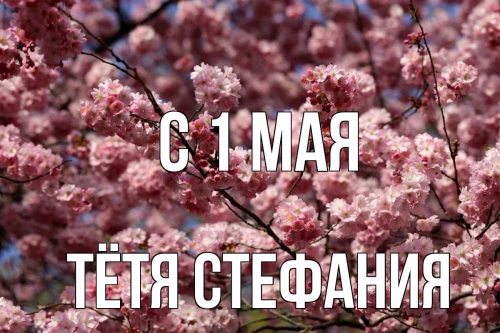 Открытка на каждый день с именем, Тётя-Стефания С 1 мая С 1 мая Прикольная открытка с пожеланием онлайн скачать бесплатно 