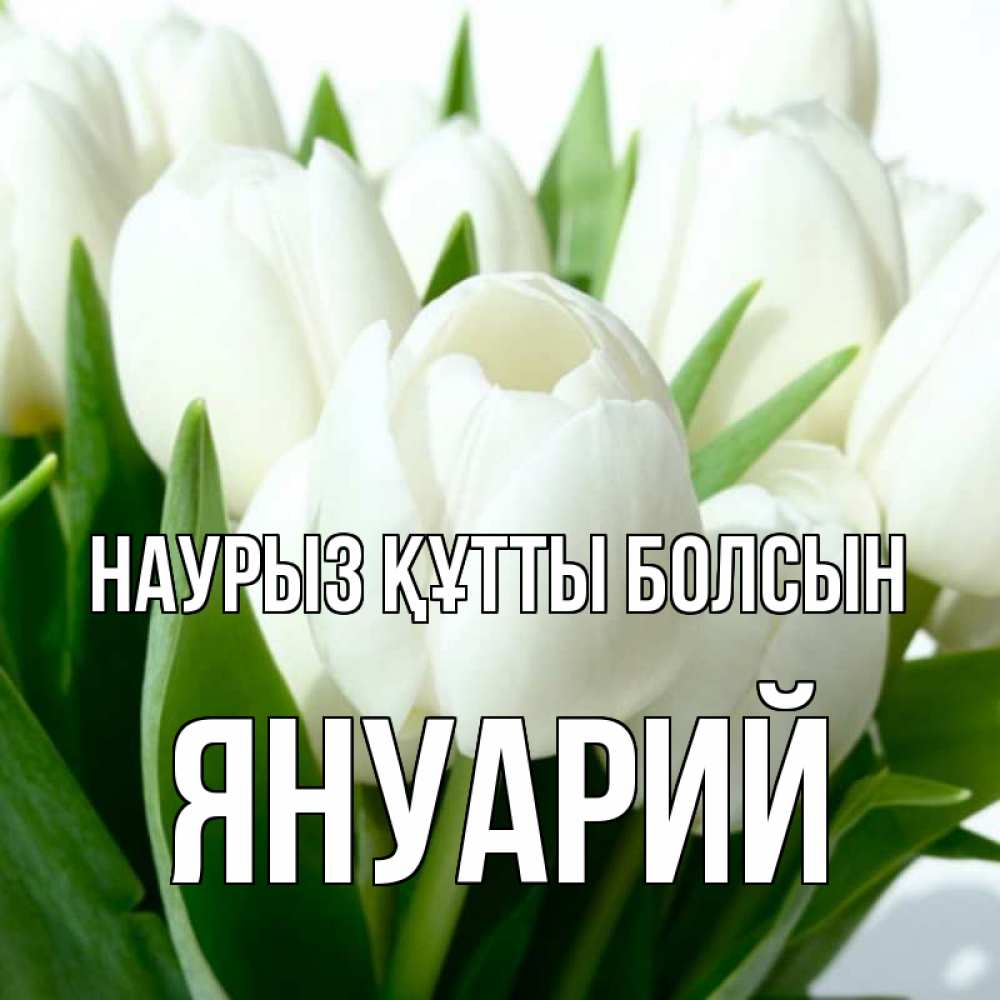 Открытка на каждый день с именем, Януарий Наурыз құтты болсын цветы Прикольная открытка с пожеланием онлайн скачать бесплатно 