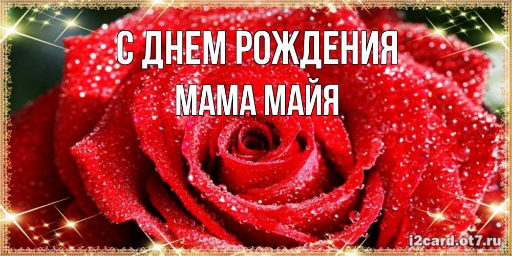 Открытка на каждый день с именем, Мама-Майя С днем рождения роса и роза. открытка с красивой розой Прикольная открытка с пожеланием онлайн скачать бесплатно 