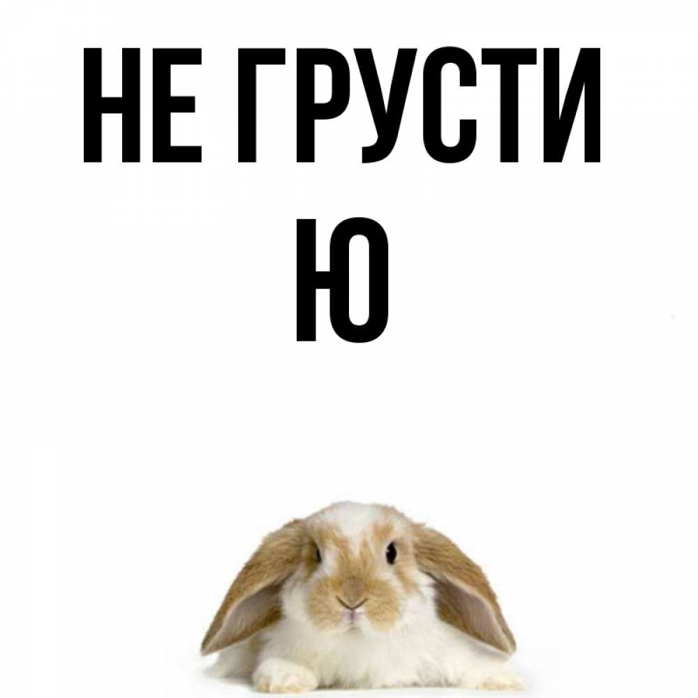 Не грусти а то не будет расти картинки