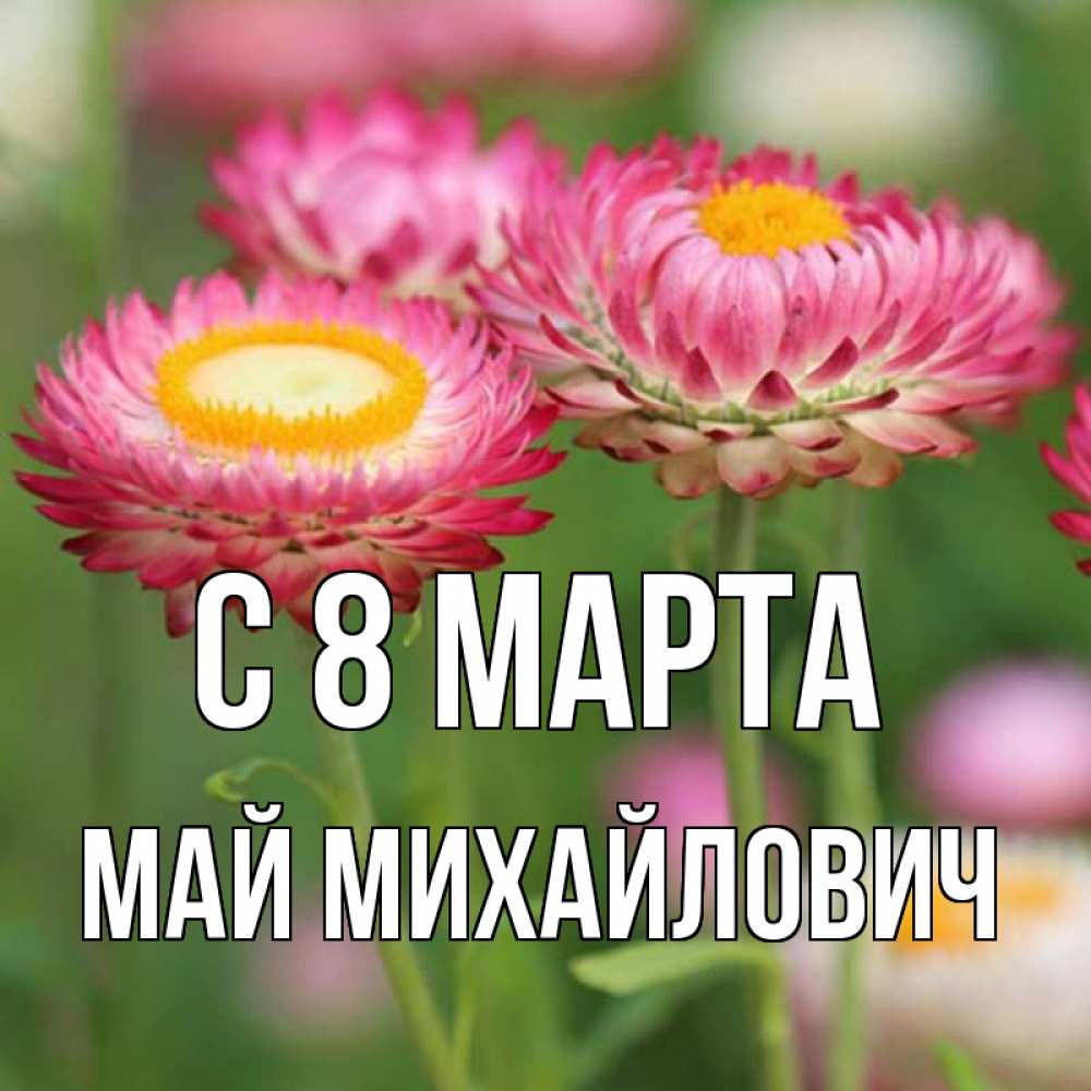Открытка с именем, Май Михайлович, С 8 МАРТА