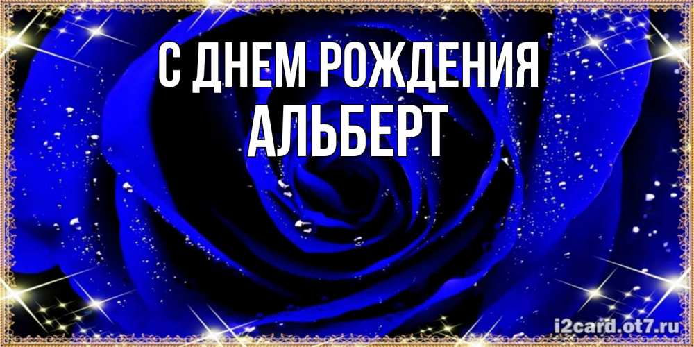 Открытка на каждый день с именем, Альберт С днем рождения голубые цветы в росе Прикольная открытка с пожеланием онлайн скачать бесплатно 