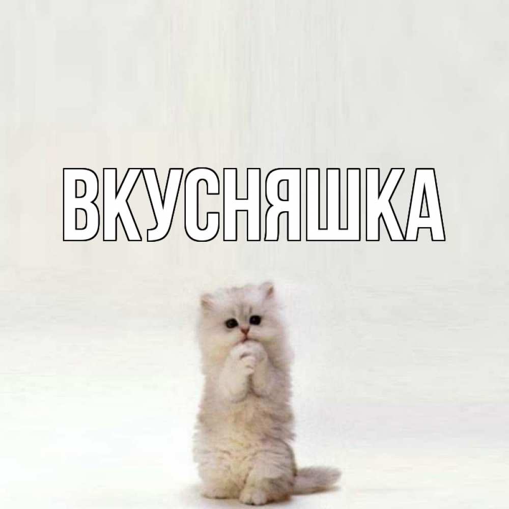 Открытка на каждый день с именем, Вкусняшка Главная кот стоит на задних лапах Прикольная открытка с пожеланием онлайн скачать бесплатно 