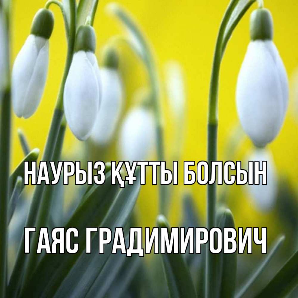 Открытка на каждый день с именем, Гаяс-Градимирович Наурыз құтты болсын весенние цветы Прикольная открытка с пожеланием онлайн скачать бесплатно 