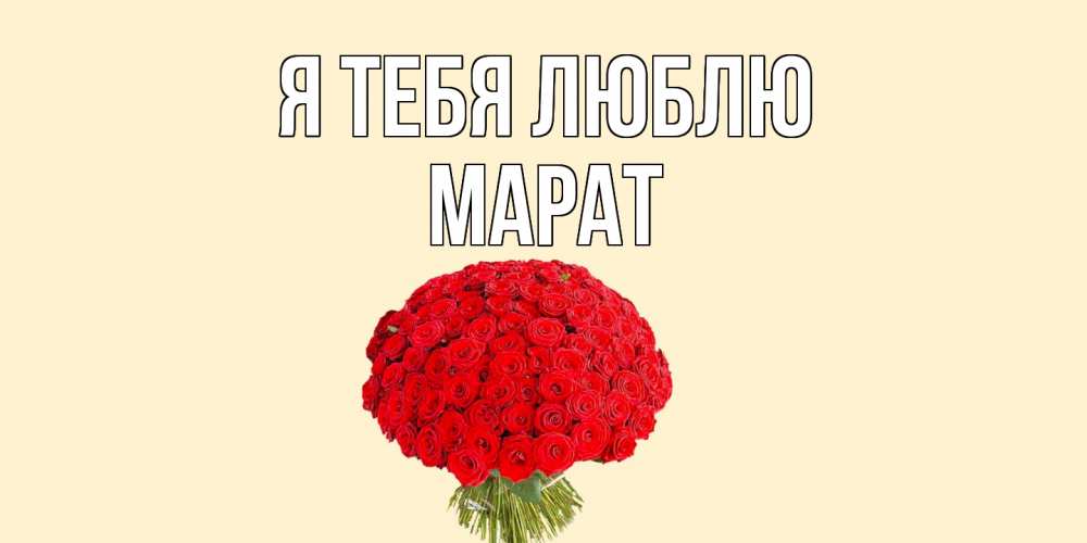 Я люблю марата. Марго я тебя люблю. Миллион алых роз с поздравлением.