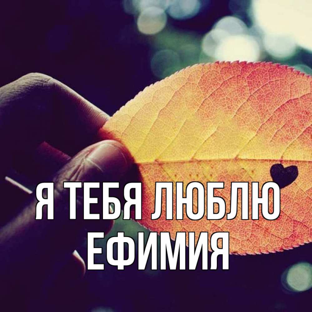 Открытка на каждый день с именем, Ефимия Я тебя люблю держу лист Прикольная открытка с пожеланием онлайн скачать бесплатно 