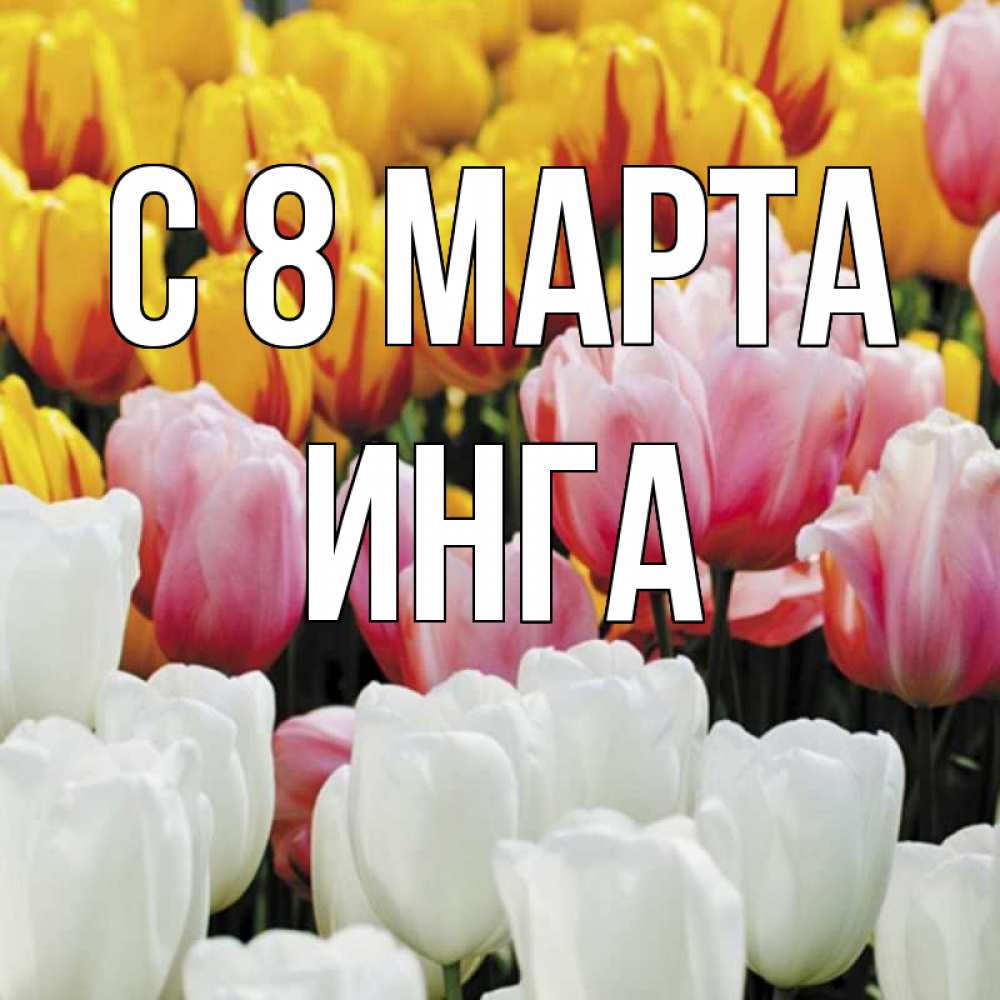 Открытка на каждый день с именем, Инга С 8 марта разноцветные цветы Прикольная открытка с пожеланием онлайн скачать бесплатно 