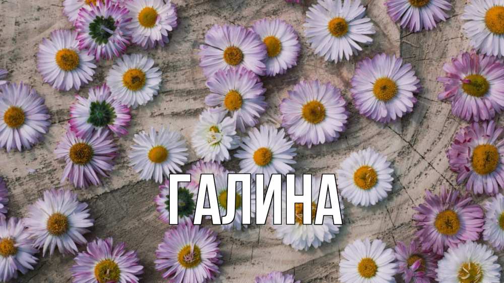 Открытка на каждый день с именем, Галина Главная с днем семьи Прикольная открытка с пожеланием онлайн скачать бесплатно 