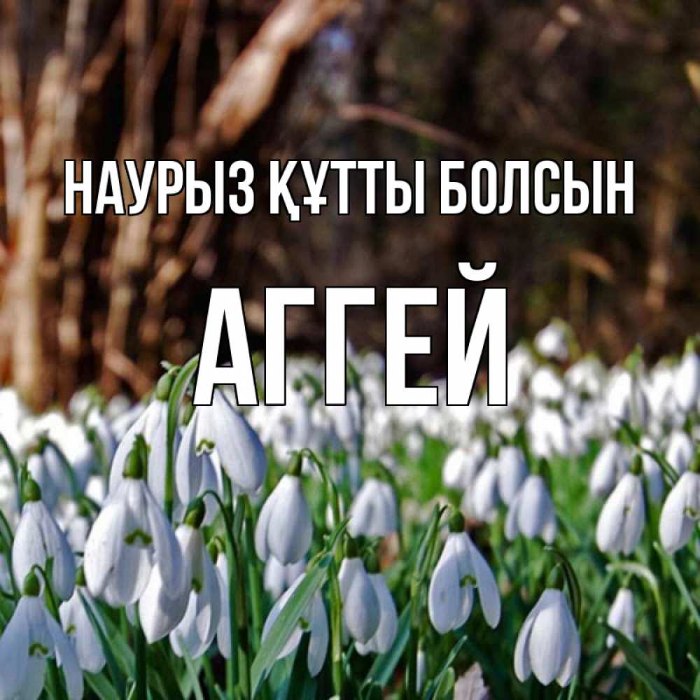 Открытка на каждый день с именем, Аггей Наурыз құтты болсын с подснежниками 1 Прикольная открытка с пожеланием онлайн скачать бесплатно 