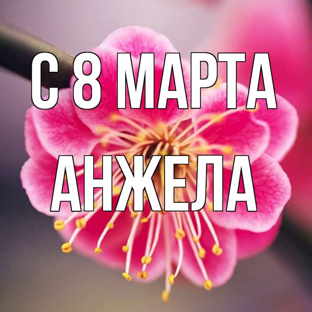Открытка на каждый день с именем, Анжела С 8 МАРТА цветы Прикольная открытка с пожеланием онлайн скачать бесплатно 