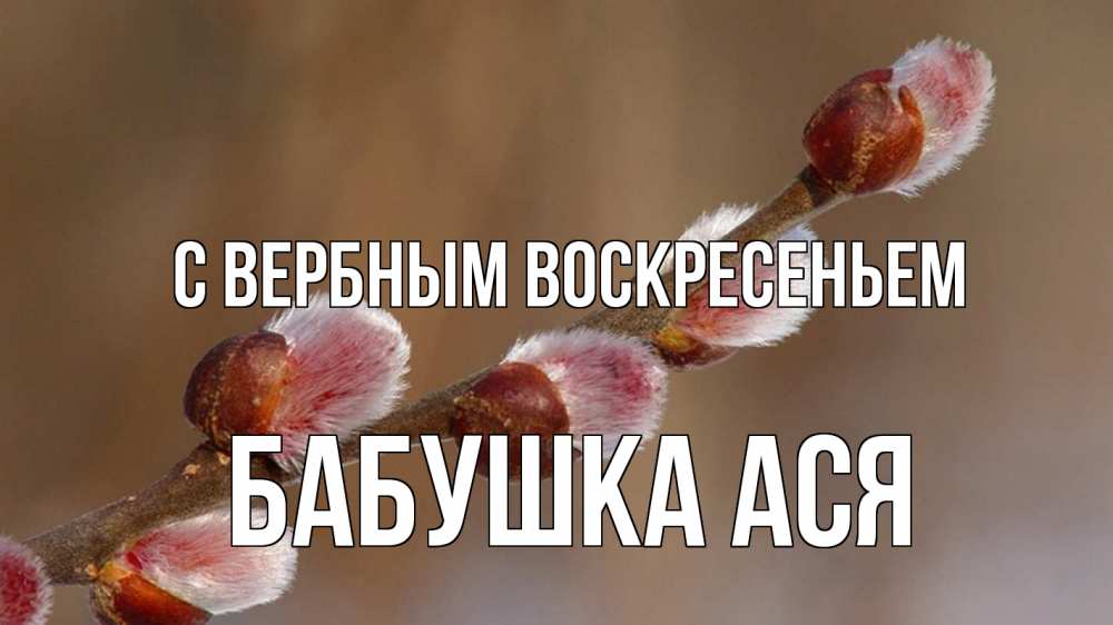 Открытка на каждый день с именем, Бабушка-Ася С вербным воскресеньем верба Прикольная открытка с пожеланием онлайн скачать бесплатно 