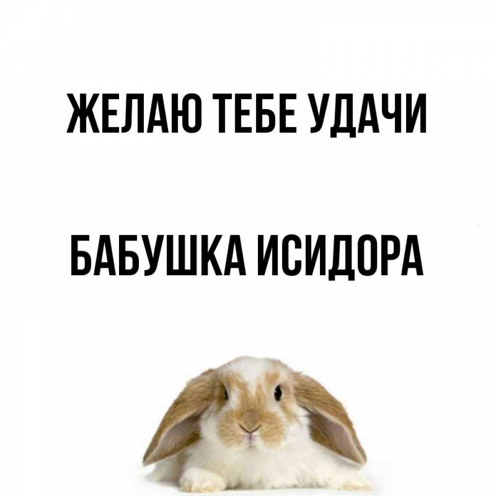 Открытка на каждый день с именем, Бабушка-Исидора Желаю тебе удачи открытки с произвольным текстом который можно вставить в открытку и создать ее самостоятельно бесплатно онлайн Прикольная открытка с пожеланием онлайн скачать бесплатно 