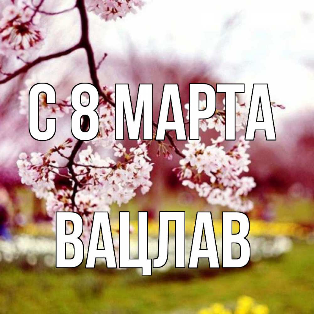 Открытка на каждый день с именем, Вацлав С 8 марта яблоня Прикольная открытка с пожеланием онлайн скачать бесплатно 