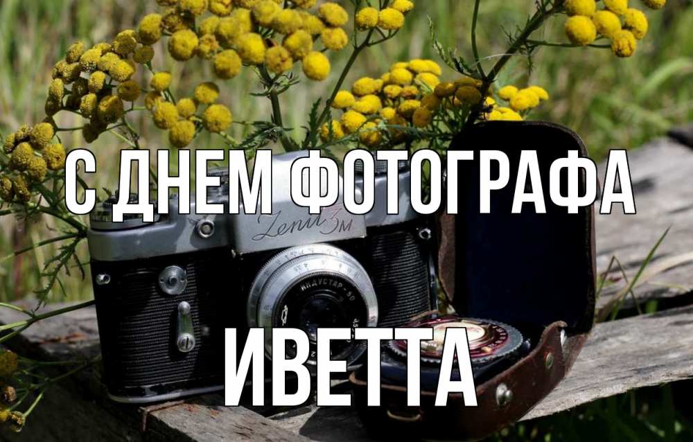 Открытка на каждый день с именем, Иветта С днем фотографа с днем фотографа Прикольная открытка с пожеланием онлайн скачать бесплатно 