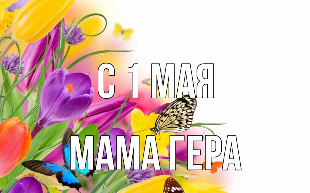 Открытка на каждый день с именем, Мама-Гера С 1 мая С 1 мая Прикольная открытка с пожеланием онлайн скачать бесплатно 
