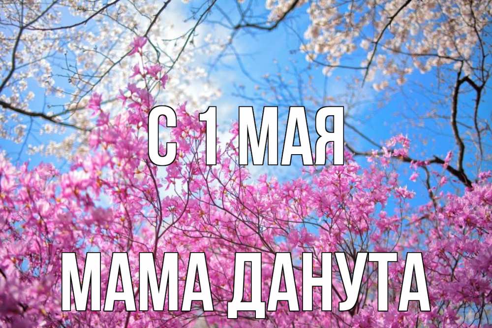 Открытка на каждый день с именем, Мама-Данута С 1 мая С 1 мая Прикольная открытка с пожеланием онлайн скачать бесплатно 