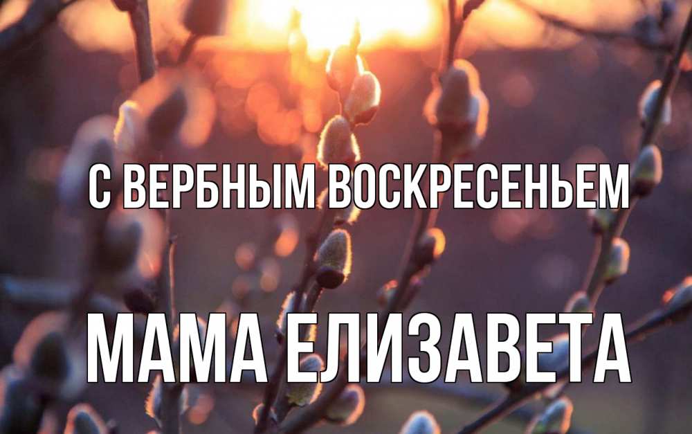 Открытка на каждый день с именем, Мама-Елизавета С вербным воскресеньем верба Прикольная открытка с пожеланием онлайн скачать бесплатно 