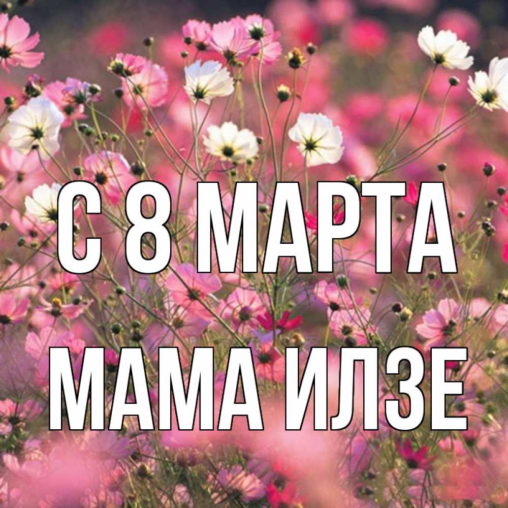 Открытка на каждый день с именем, Мама-Илзе С 8 МАРТА красиво 1 Прикольная открытка с пожеланием онлайн скачать бесплатно 