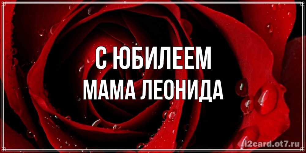 Открытка на каждый день с именем, Мама-Леонида С юбилеем крупная бордовая роза Прикольная открытка с пожеланием онлайн скачать бесплатно 