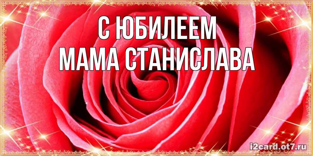 Открытка на каждый день с именем, Мама-Станислава С юбилеем розовая роза очень крупный бутон Прикольная открытка с пожеланием онлайн скачать бесплатно 