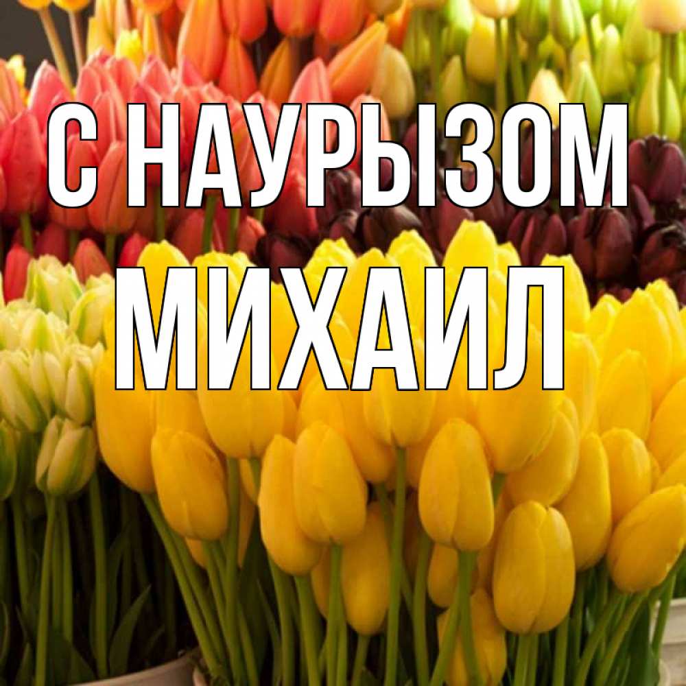 Открытка на каждый день с именем, Михаил С наурызом цветы Прикольная открытка с пожеланием онлайн скачать бесплатно 