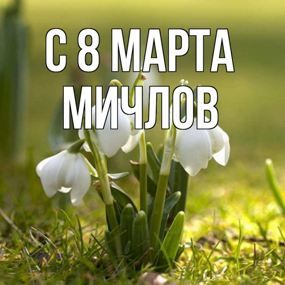 Открытка на каждый день с именем, Мичлов С 8 МАРТА ранние цветы 2 Прикольная открытка с пожеланием онлайн скачать бесплатно 