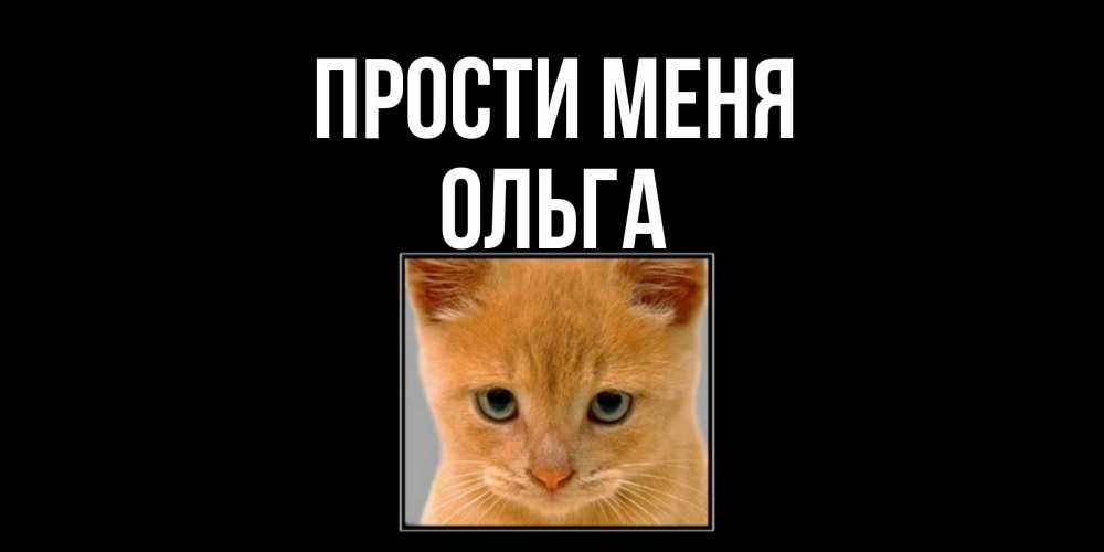 Открытка на каждый день с именем, Ольга Прости меня рыжий грустный кот просит прощения Прикольная открытка с пожеланием онлайн скачать бесплатно 