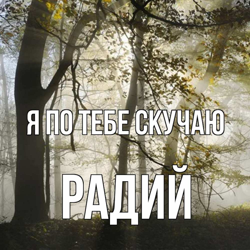 Открытка на каждый день с именем, Радий Я по тебе скучаю грустно Прикольная открытка с пожеланием онлайн скачать бесплатно 
