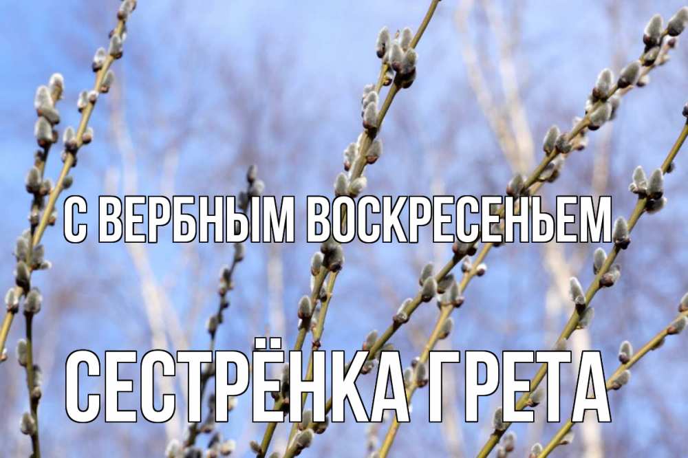 Открытка на каждый день с именем, Сестрёнка-Грета С вербным воскресеньем верба Прикольная открытка с пожеланием онлайн скачать бесплатно 